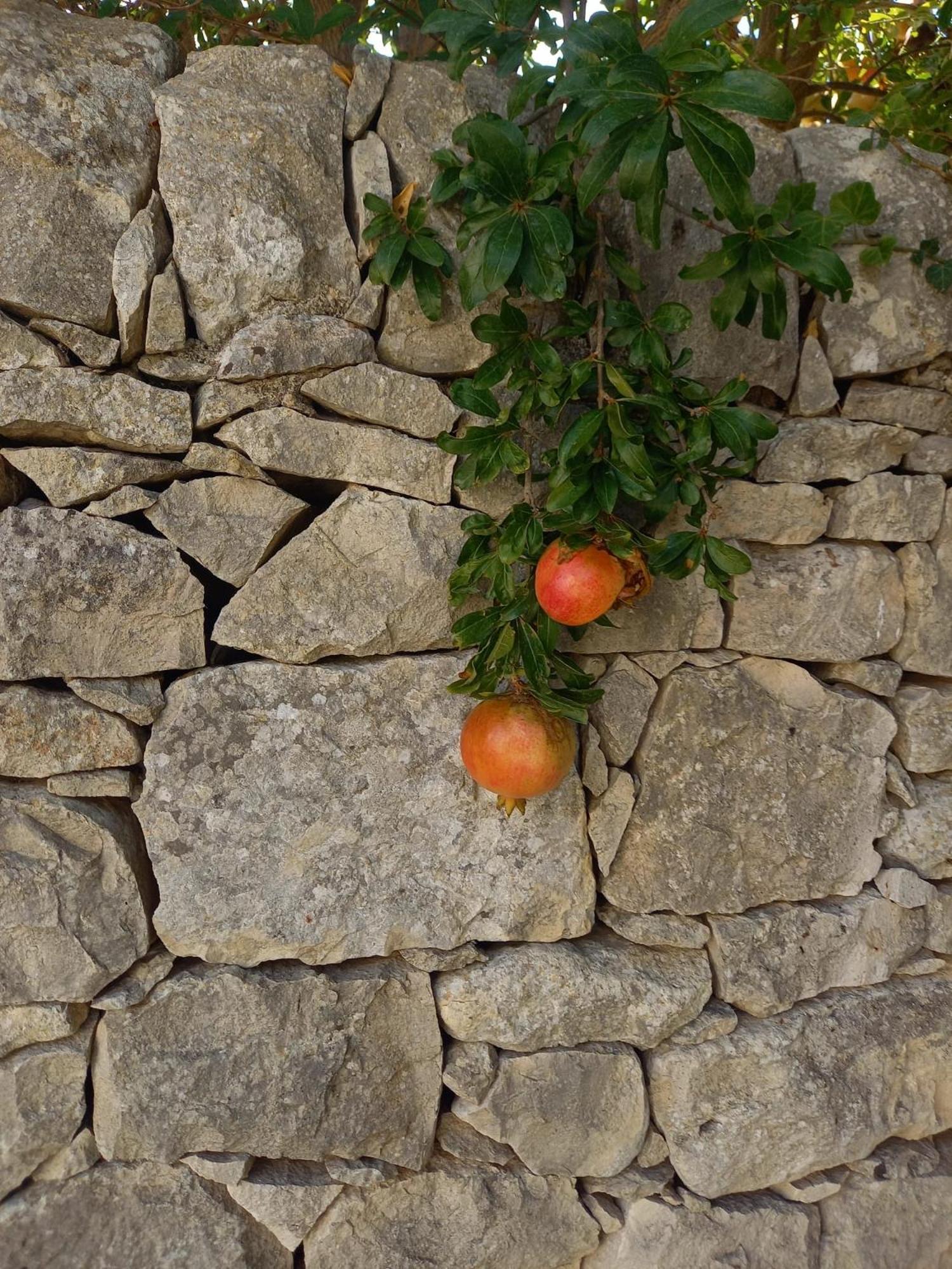 מודיקה Agriturismobugilfezza Di Tgesd מראה חיצוני תמונה